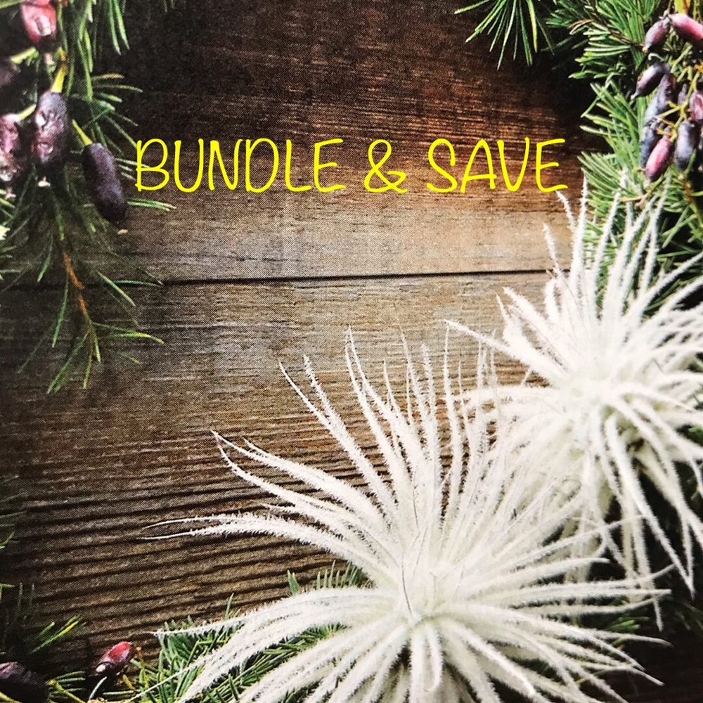 Bundle & Save - image 1